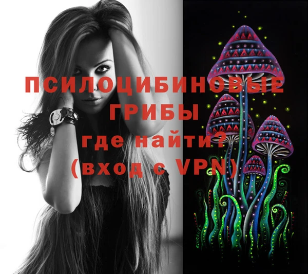герыч Вязьма