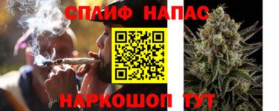 ГАЛЛЮЦИНОГЕННЫЕ ГРИБЫ Гатчина