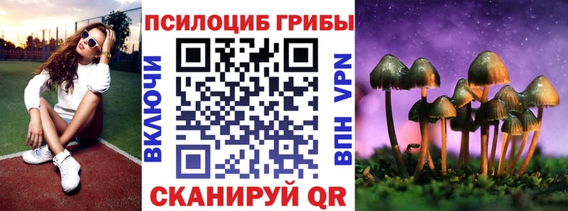 Галлюциногенные грибы Magic Shrooms  Калач-на-Дону 