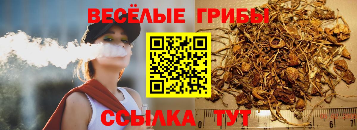 Псилоцибиновые грибы GOLDEN TEACHER Калач-на-Дону