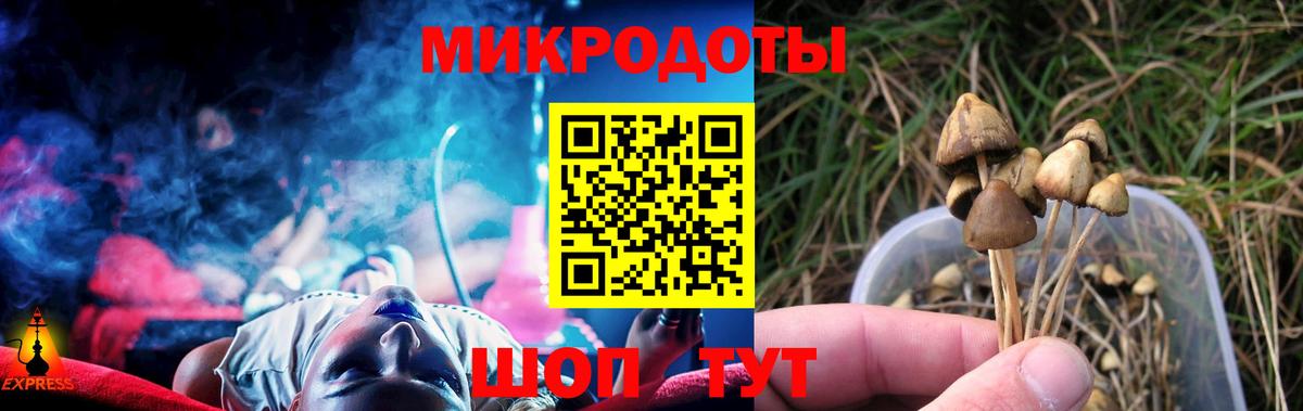 Псилоцибиновые грибы мухоморы  Вход с VPN  Калач-на-Дону  купить закладку  Галлюциногенные грибы мухоморы 